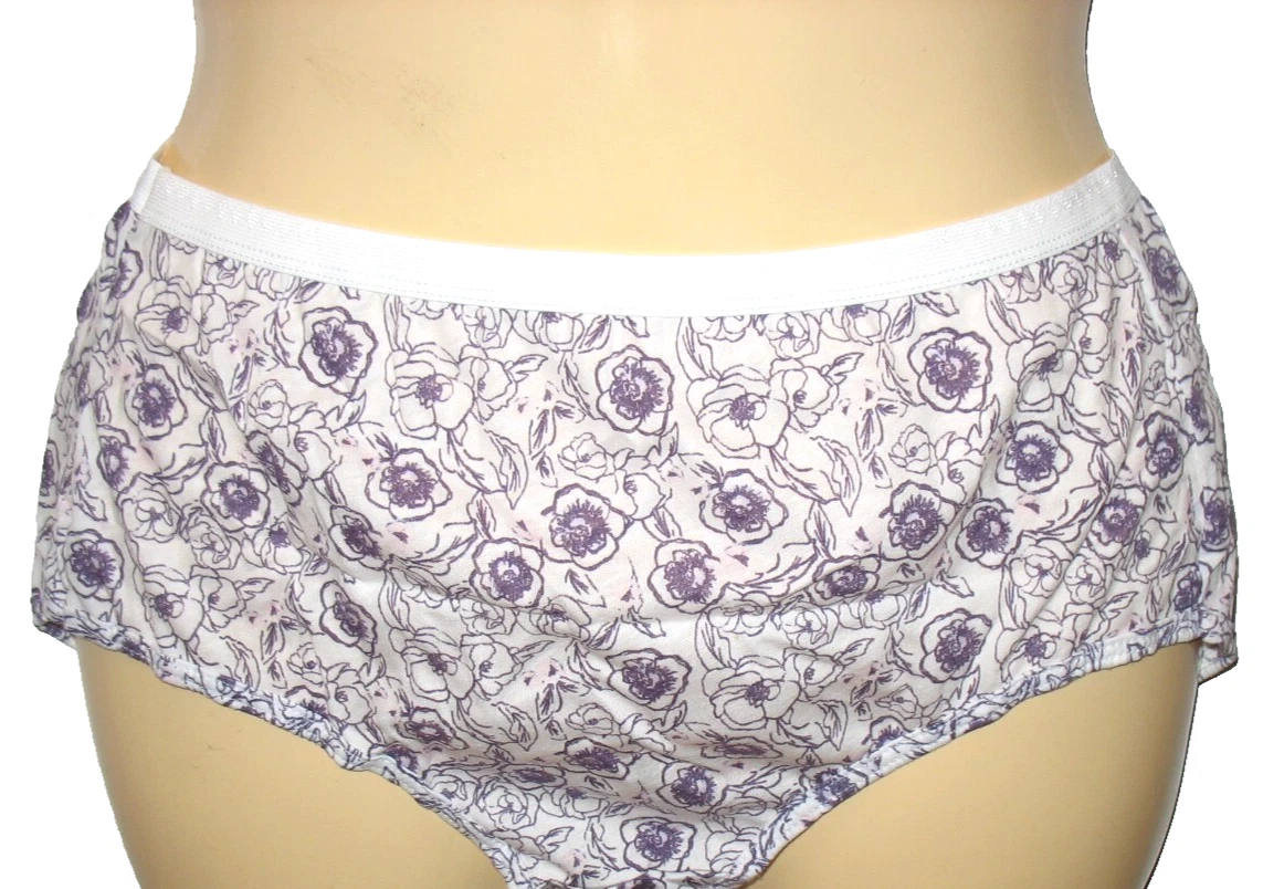 Hanes Floral 100% Cotton Brief Panties for Women for sale | eBay