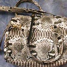Women’s Small Snake Print Faux Leather Crossbody Bag Zip, Gold, Detachable