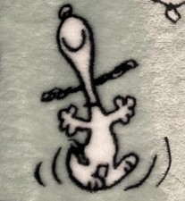Peanuts Happy Dance Snoopy Poses Seafoam Green Throw Blanket 60x70 Berkshire