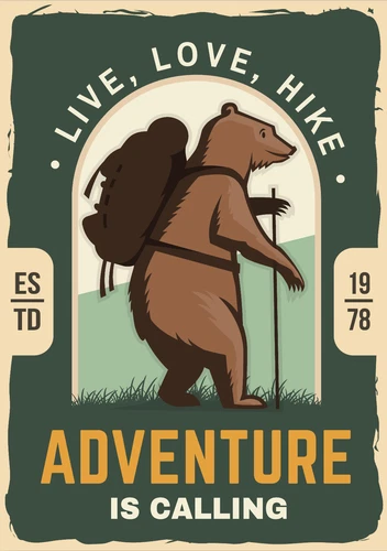 Hiking Exploring Adventure Hike Walk Wilderness Self Adhesive Vinyl Sticker