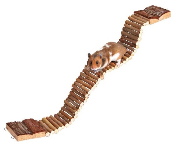 Trixie Leiter FüR MäUse Hamster 7 X 55 Cm KletterbrüCke HäNgebrüCke NagerzubehöR-image