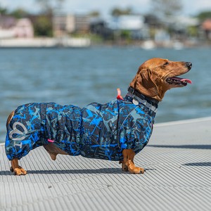 dachshund overalls