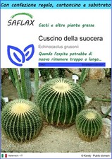 SAFLAX Confezione regalo - Cuscino della suocera - 40 semi - Echinocactus