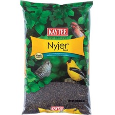 Kaytee Nyjer Songbird Niger Seed Wild Bird Food 8 lb Pack of 3 