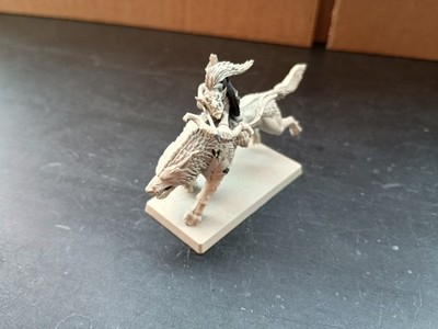Warhammer Fantasy Goblin Warboss auf Wolf Orks & Goblins