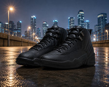 MEN Size US 7-12 - Jordan 12 Black Cat CT8013-010