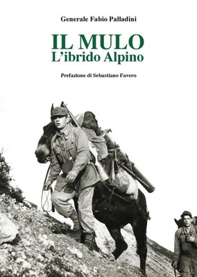 Das Maultier. der alpine Hybrid - [ITALIA Historica Editions]