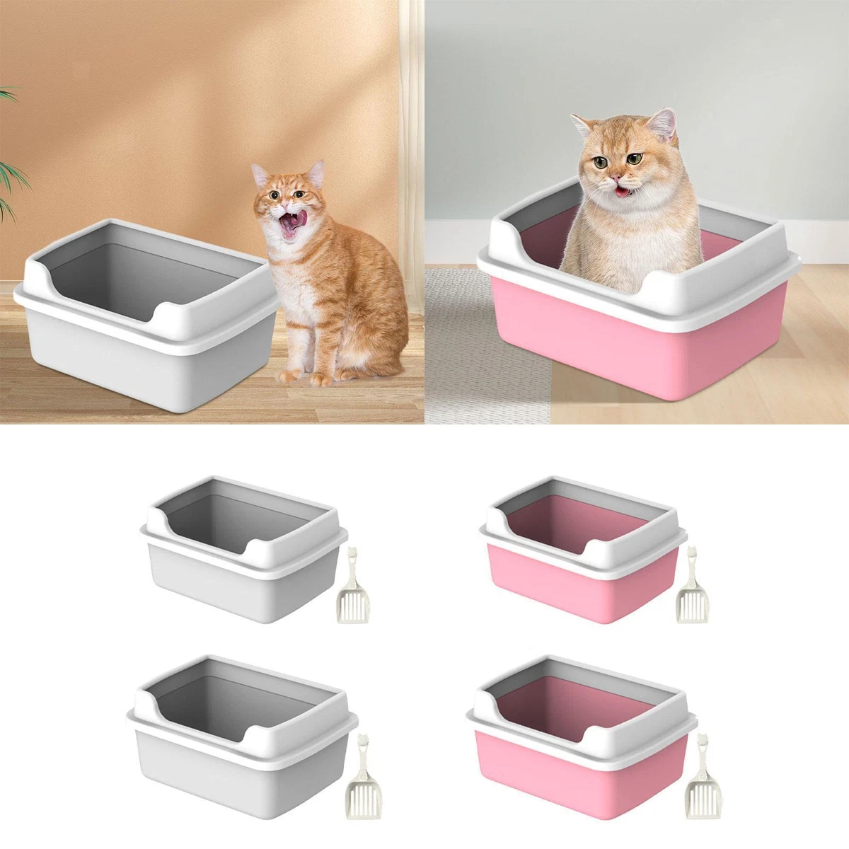 Little box 2025 for cat