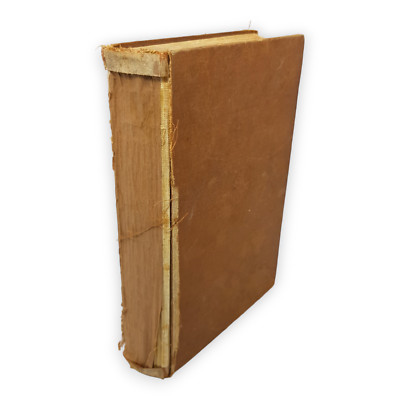 Zwei Menschen Richard Voss 1911 Roman Engelhorns Nachf Stuttgart 1 Großauflage