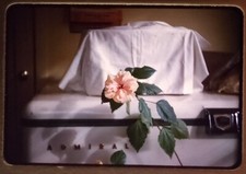 Sept 1963 Admiral & Hibiscus Transparency Slide