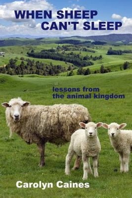 When Sheep Can't Sleep: lessons from the animal kingdom by Caines, Carolyn