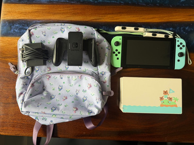 Animal Crossing Nintendo Switch Console Bundle Dock Joycons Case Charger