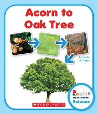 Acorn to Oak Tree (Rookie Read-About Science)