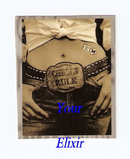 DIXIE CHICKS Chicks Rule Buckle Belly B&W Case Sticker | eBay display picture 2