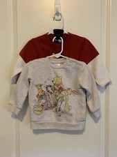 Disney Baby Winnie the Pooh Bear Longsleeve Cozy Pullover Shirts Unisex 18mo