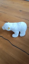 Steiff Cosy Issy White Polarbär #5405/30 Eisbär Kuscheltier Teddy Weinachten