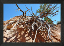 kodachrome basin Framed Wall Art Poster Canvas Print Picture
