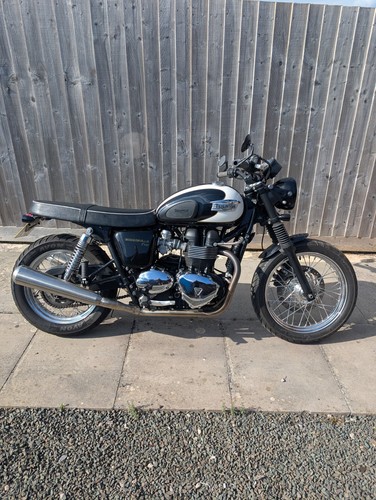 Triumph T100 Bonneville EFI SE 2008-On Fork Gators, Rubbers