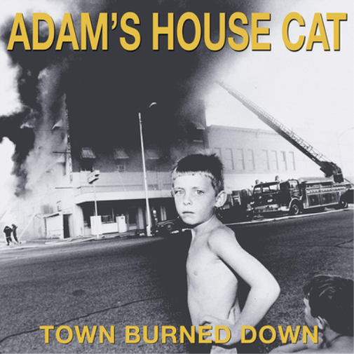Adam's House Cat Town Burned Down (Vinyl LP) 12" Album