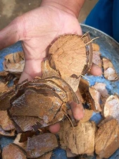 100% COCONUT SHELLS ECO FRIENDLY NATURAL ORGANIC  FOR BBQ  WITH FREE SHIPPING