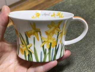 ROYAL BONE CHINA FLOWER SYMPHONY Fine Bone China Cup April