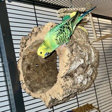 Korksitzring Vögel Kleintiere Käfigzubehör Voliere Sitz ohne Chemikalien