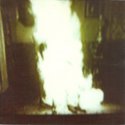 Flowers in the Attic Human (CD) Album