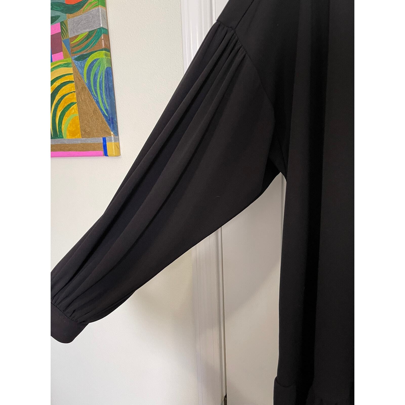 Elizabeth and James drop waist button front black… - image 5