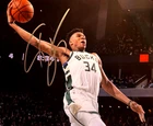 Giannis Antetokounmpo Signed 8x10" NBA: BUCKS Original Authentic Autograph w/COA