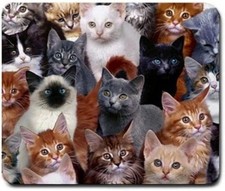 Cats Galore Mouse Pad, Square Anti-Slip Rubber Mousepad, Style 37, 37