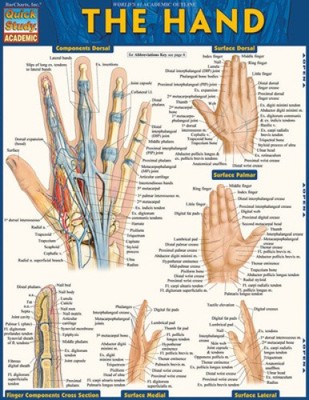 The Hand by Perez, Vincent [Fold-out book or chart]
