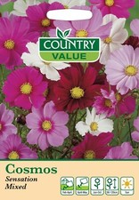 Cosmos Sensation Mixed Seeds by Country Value FREE UK DELIVERY Flower Seed