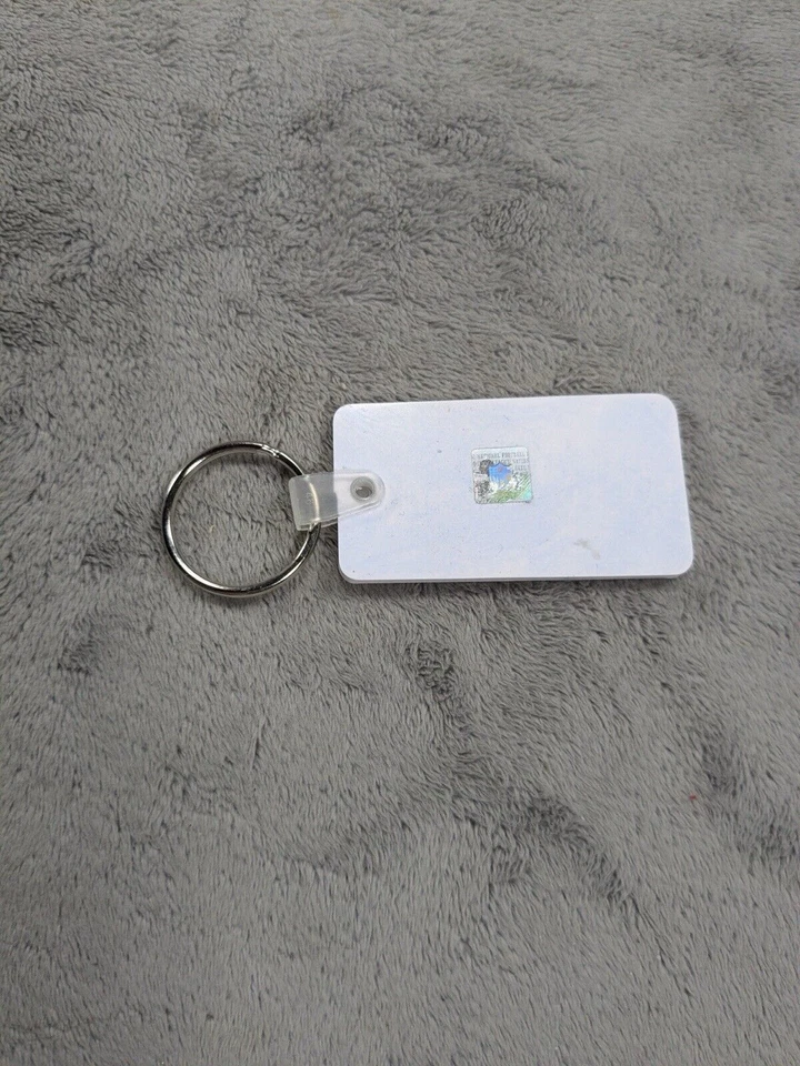 Gridiron TX HOUSTON TEXANS NFL LLAVERO EQUIPO DE FÚTBOL CALCOMANÍA LOGOTIPO 77054 Foto 3 de 3