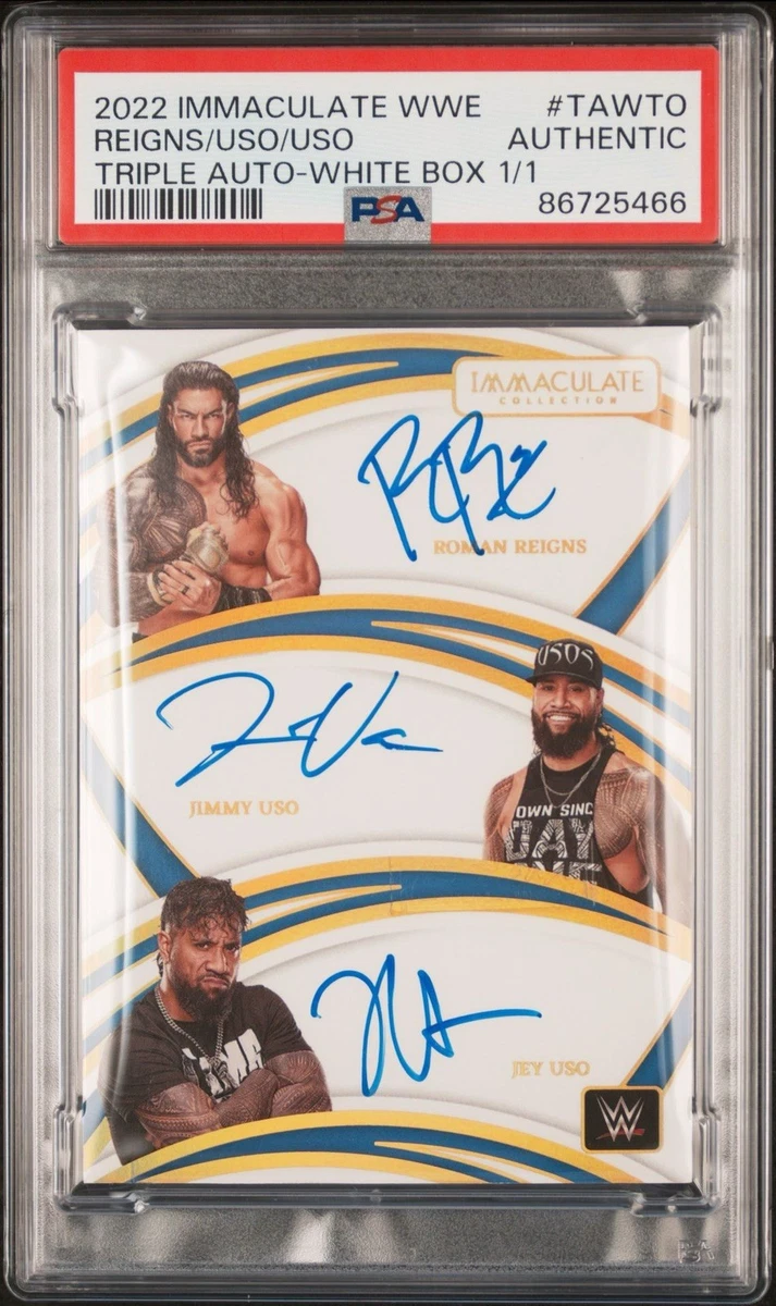WWE PANINI PAIGE 25シリ　サイン　Tie-Dye　カード Panini Wrestling WWE Autographed Sports Trading Cards