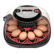 12 Egg Incubator Automatic Egg Turning, Temperature & Humidity Control with D...