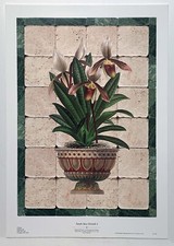 South Seas Orchids 1, reproduction print by Franco D'Ottore