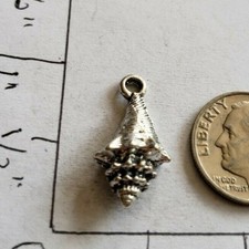 Shell charms ocean sea beach water vacation R