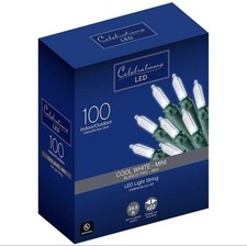 Celebrations Cool White Mini LED Light String 100 Count 24.5 Ft. Indoor/Outdoor