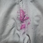 Bild 3 von 15
