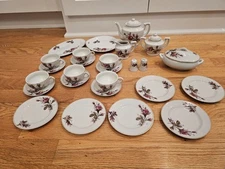 Vintage Moss Rose child's china tea set complete 29 Piece **Read**