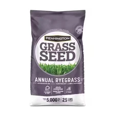 Annual Ryegrass 25 Lb. 5,000 Sq. Ft. Grass Seed