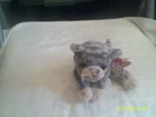 Vtg. Ty Beanie Baby-Silver the Cat-org tags-DOB 2/11/1999