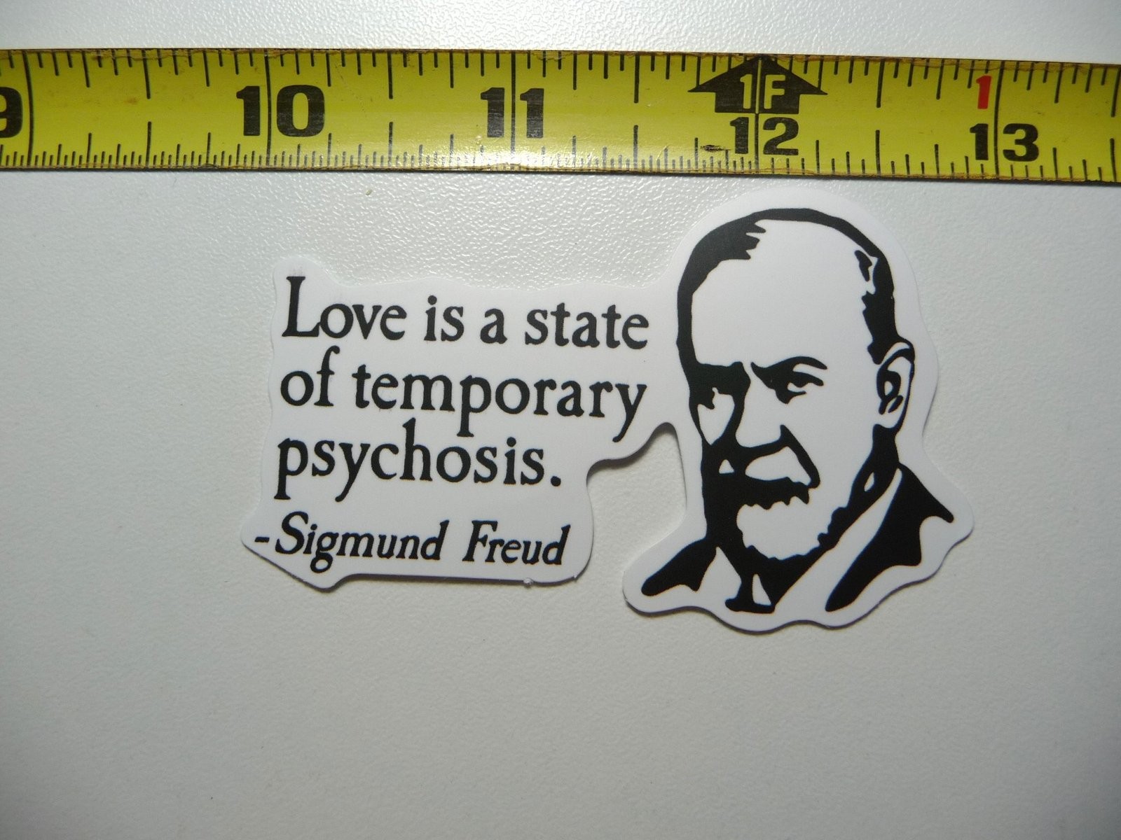 Funny Love Is A Temporary Psychosis Decal Sticker Parody Art