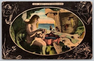 St. Petersburg Florida Web's Talking Mermaid Show, Drug Store Postcard 1956