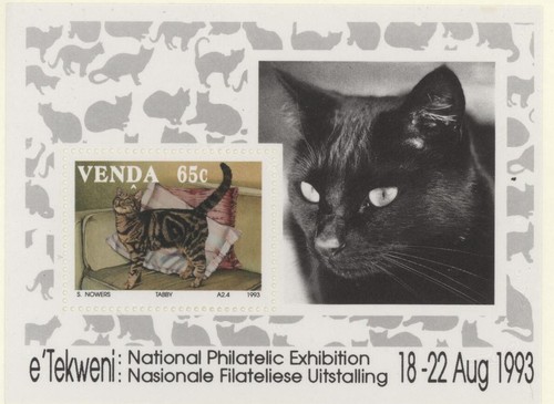 South Africa 1993 Venda Domestic Cats - Tabby MS, mint MNH