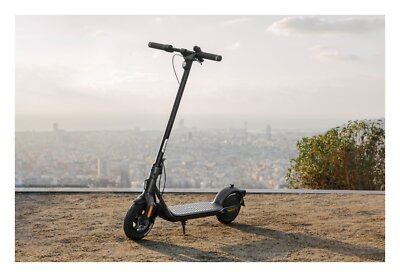 Segway Monopattino elettrico F2 367Wh ruote 10