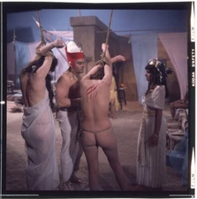 The Mummy's Revenge 1975 Helga Line Cult Horror Original 2.25 x2.25 Transparency