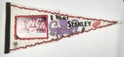 DETROIT RED WINGS Vintage NHL 1995-96 "I Want Stanley" Team Photo Pennant Banner — photo 1