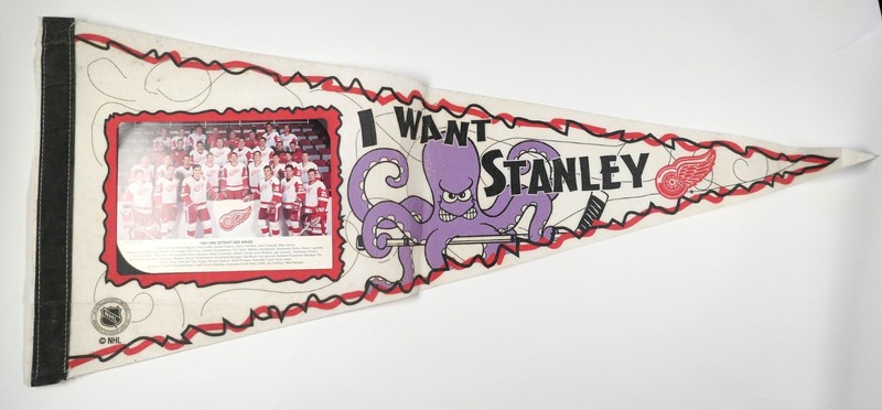 DETROIT RED WINGS Vintage NHL 1995-96 "I Want Stanley" Team Photo Pennant Banner