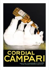 Cordial Campari (Stretched Canvas) - FREE SHIPPING